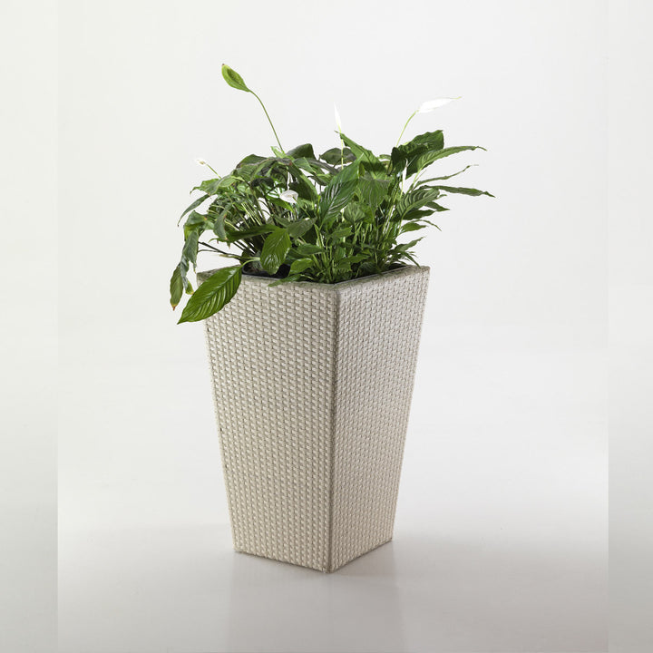 Planter