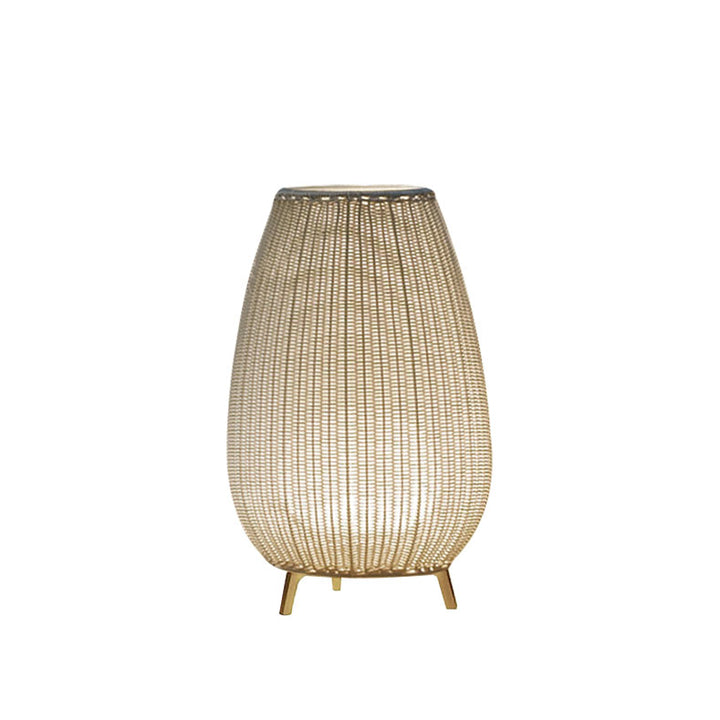 Fabel Outdoor Wicker Floor Lamp