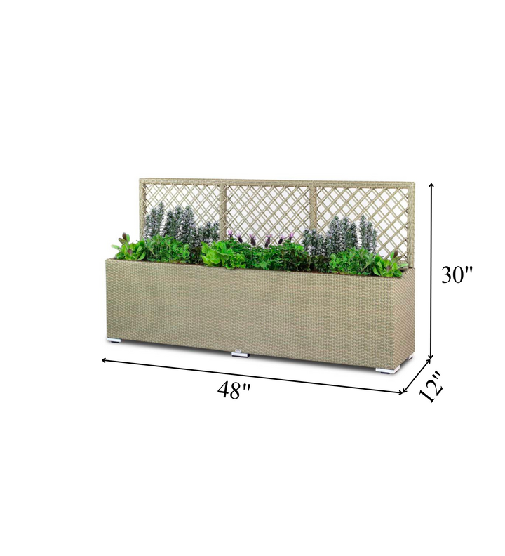 Leroy Outdoor Wicker Planters For Garden, Balcony