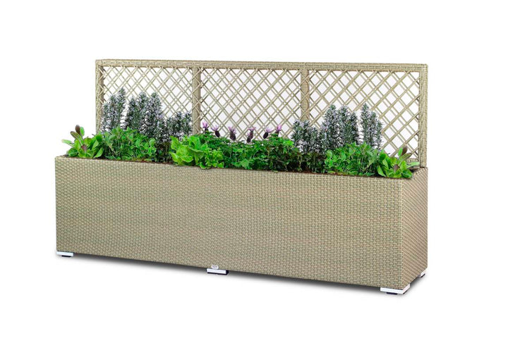 Leroy Outdoor Wicker Planters For Garden, Balcony