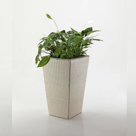 Planter